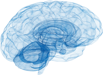 pngfind.com-brain-png-3271826